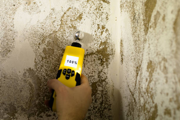 Mold Remediation for Rental Properties